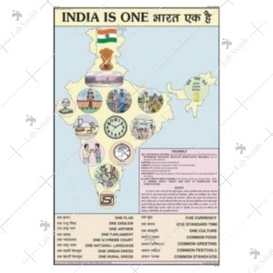 India Is United Nation Chart