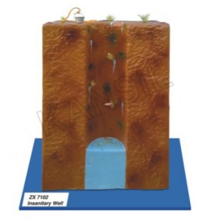Insanitary Well Model