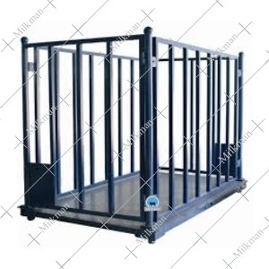Livestock Weighing Scale