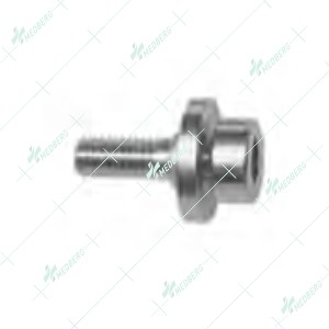 L.RS. Acute Correction Template Locking Screw