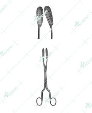 Lewkowiz Scaipel Flap Forceps, 245 mm