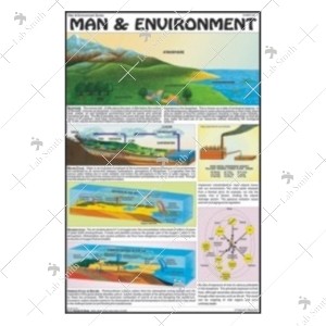 Man & Environment Chart