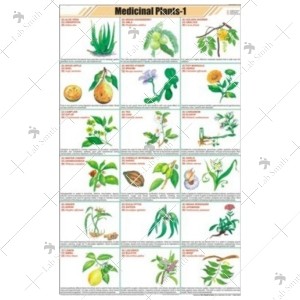 Medicinal plants-I Chart