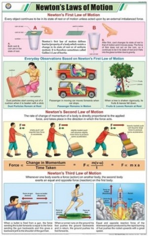 Newton's Laws of Motion Chart