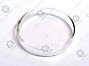 Petri Dish