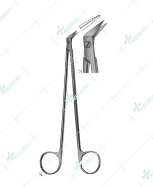 Potts-Smith Scissors 