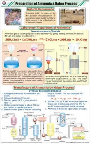 Prep. of Ammonia & Haber Process