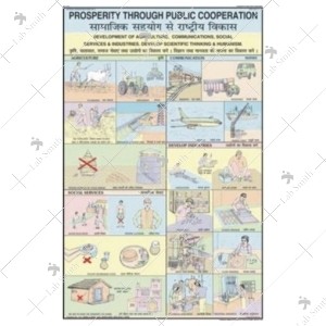 Prosperity Through Public Cooperation Chart