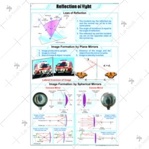 Reflection of Light Chart