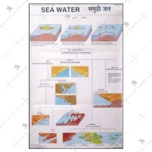 Sea Water Shoreline Map Chart