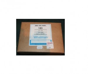 Seed Testing Paper