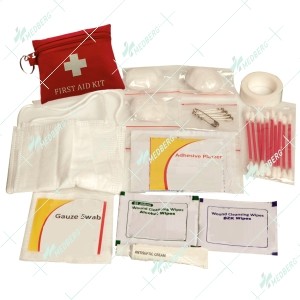 Travel Safety Kit