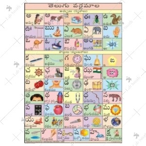 Telugu Alphabet Charts