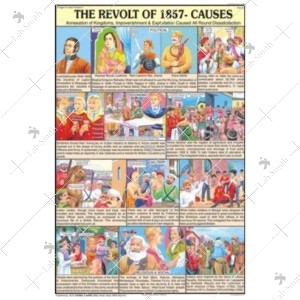 The Revolt of 1857 Causes Chart