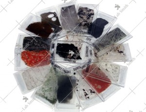 Thin Section of Rocks (Set of 20 Slides)