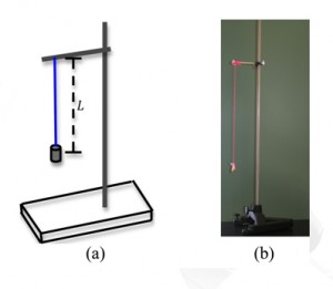 Simple Harmonic Motion Apparatus
