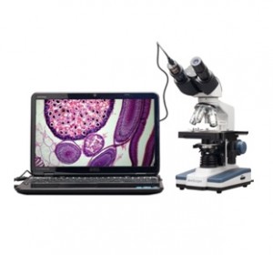 Binocular Microscope