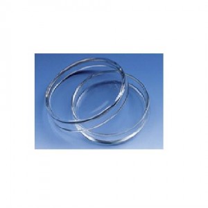Petri Dish