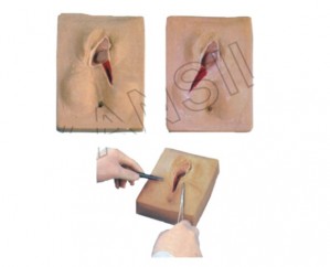 Vulva Suturing Training Simulator Model