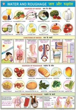 Water & Roughage Chart