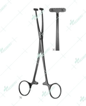 Willett Scaipel Flap Forceps, 185 mm