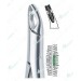 150 AS Extraction Forceps