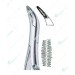 69 Extraction Forceps-Carbide Tip