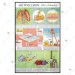 Air Pollution Chart