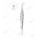 Alfonso Nucleus Fragment Forceps