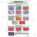 Animal Tissues Chart