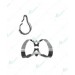Anterior and Winged Labial Clamp