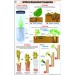 Artificial Vegetative Propagation