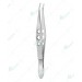 Barraquer Cilia Forceps