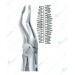 Bayonet Tip Upper Atraumatic Extraction Forceps