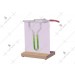 Bernoulli Tube