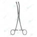 Bircher Meniscus Instrument, 200 mm