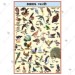 Birds Chart