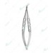 Blaydes Lens Holding Forceps