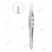 Buratto Lasik Flap Forceps