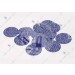 Carbon Paper Disc