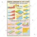 Coastal Landscape Chart