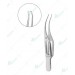 Colibri Forceps