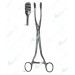 Collin Uterine Elevating Forceps, 250 mm