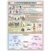 Constitution of India Chart