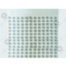 Counting and Placement Trays 