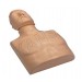 CPR Traing Mankin (Torso)