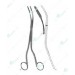 Czerny Gall Stone Forceps, 245 mm