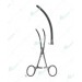 De Bakey Mauk Gebogan Forceps, Curved Jaw, 125 mm