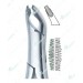 Deep Gripping Lower Atraumatic Extraction Forceps