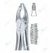 Deep Gripping Upper Atraumatic Extraction Forceps